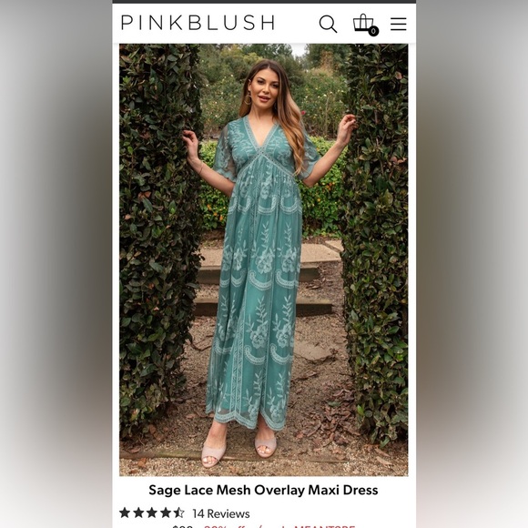 Pinkblush sage Maxi Dress - Picture 4 of 15